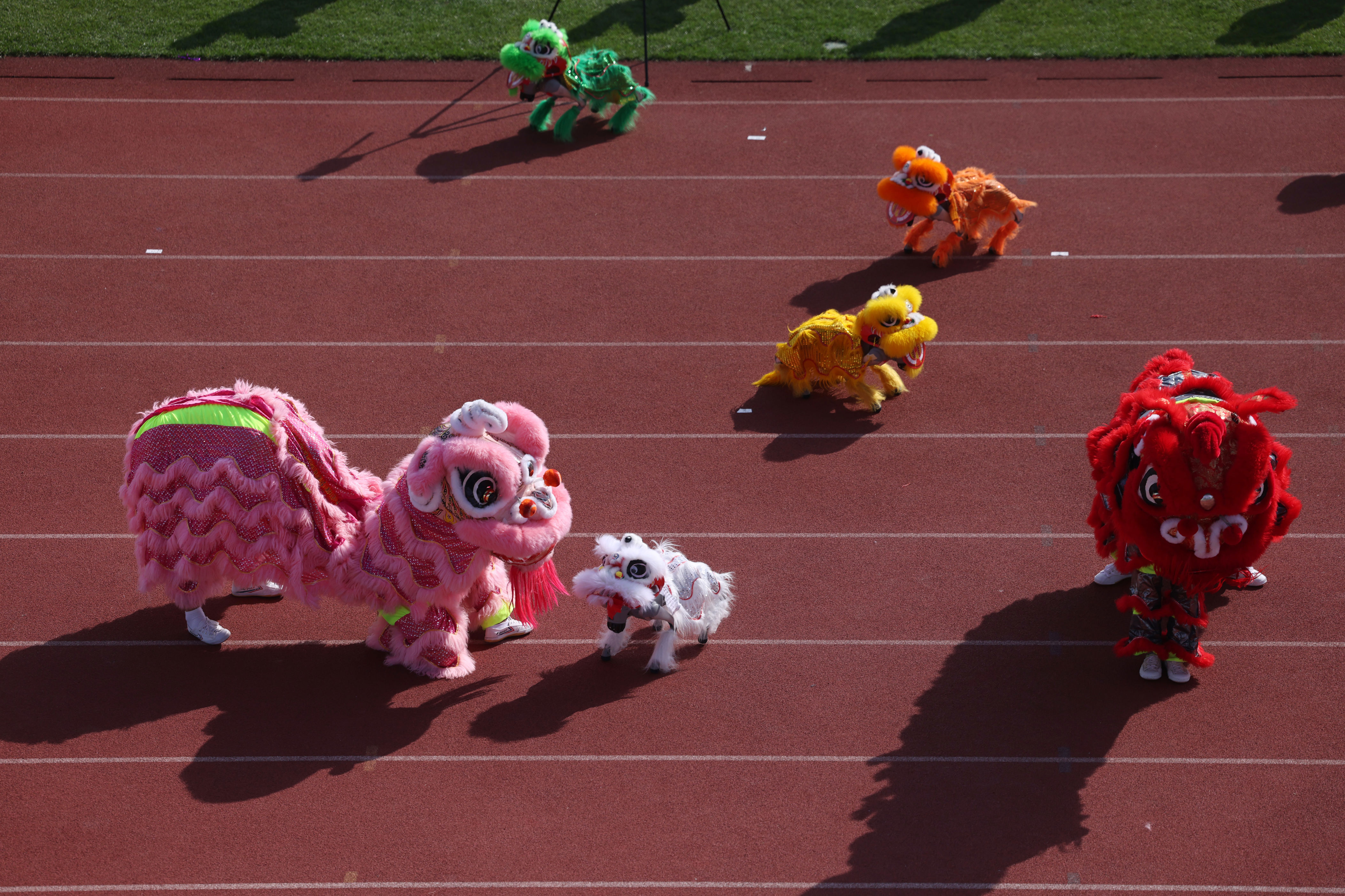 成为成长主 成为成长主